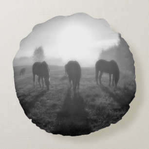 Paardengrazing in het veld op zonsopgang bij een p rond kussen