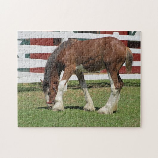Paardengrazing Legpuzzel (Horizontaal)