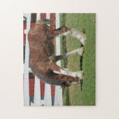 Paardengrazing Legpuzzel (Verticaal)