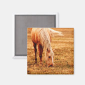 Paardengrazing Magneet (Voorkant / Achterkant)