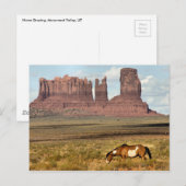 Paardengrazing, Monument Valley, UT Briefkaart (Voorkant / Achterkant)