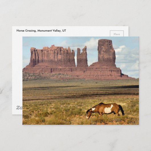 Paardengrazing, Monument Valley, UT Briefkaart (Voorkant / Achterkant)