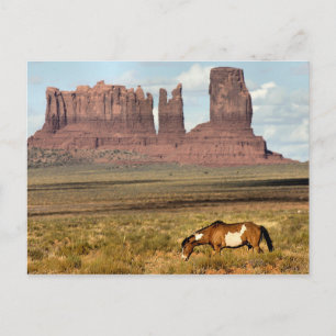 Paardengrazing, Monument Valley, UT Briefkaart