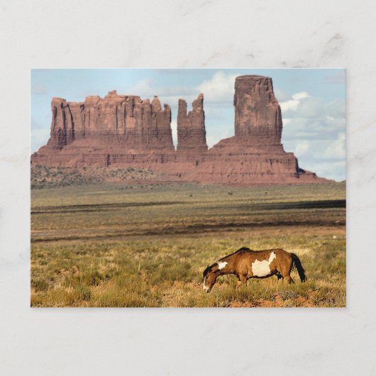 Paardengrazing, Monument Valley, UT Briefkaart (Voorkant)