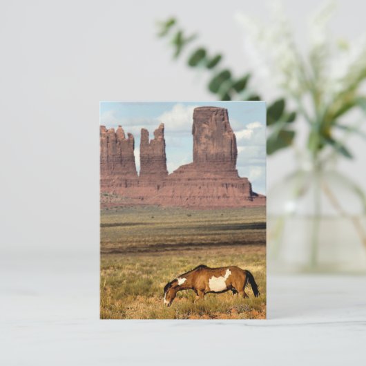 Paardengrazing, Monument Valley, UT Briefkaart (Staand voorkant)