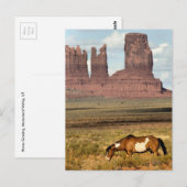 Paardengrazing, Monument Valley, UT Briefkaart (Voorkant / Achterkant)