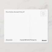 Paardengrazing, Monument Valley, UT Briefkaart (Achterkant)