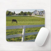 Paardengrazing op boerderij muismat (Met muis)