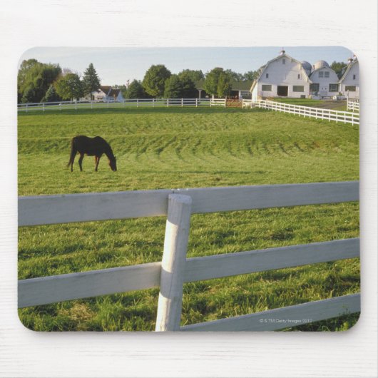 Paardengrazing op boerderij muismat (Voorkant)