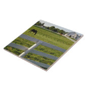 Paardengrazing op boerderij tegeltje (Zijkant)
