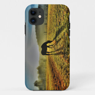 Paardengrazing op zonsopgang bij Misty Field Foto iPhone 11 Hoesje