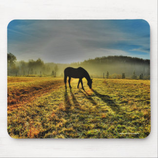 Paardengrazing op zonsopgang bij Misty Field Foto Muismat