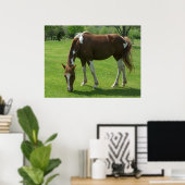 Paardengrazing Poster (Thuiskantoor)