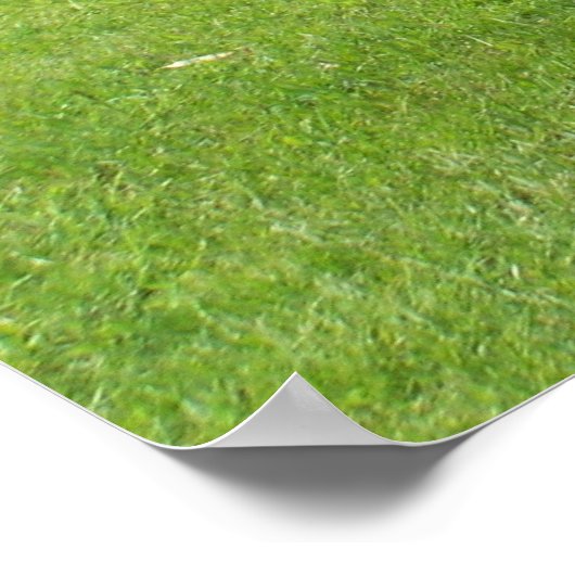 Paardengrazing Poster (Hoek)