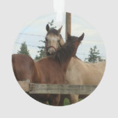 Paardengroei Ornament (achterkant)