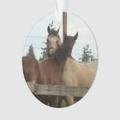 Paardengroei Ornament (voorkant)