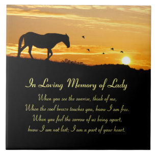 Paardenherdenking met naam en Spiritueel gedicht Tegeltje