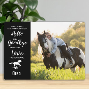 Paardenherdenking Sympathie Pet Loss Memorial Fotoplaat