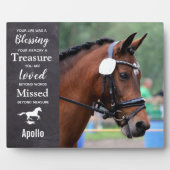 Paardenherdenkingsfoto Paardenfoto Fotoplaat (Voorkant)