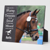 Paardenherdenkingsfoto Paardenfoto Fotoplaat (Zijkant)