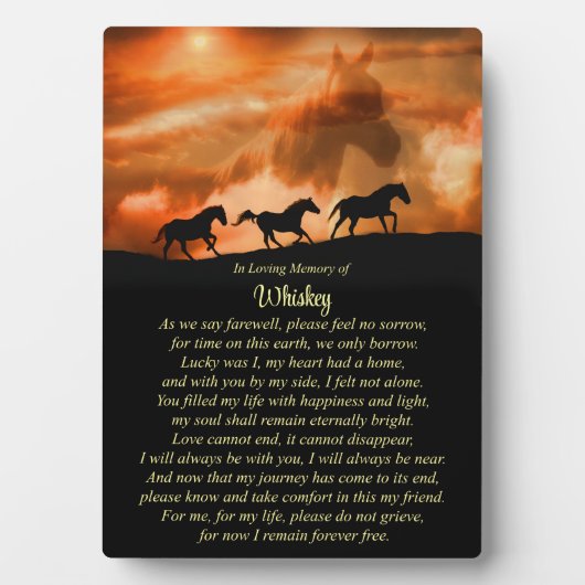 Paardenherdenkingsnaam Spiritueel gedicht Fotoplaat (voorkant)