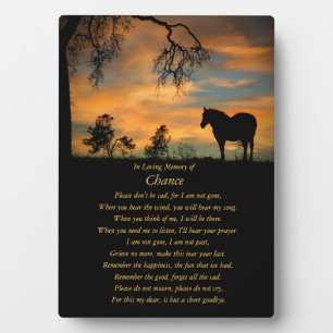 Paardenherdenkingsonderscheiding in liefdevol gehe fotoplaat
