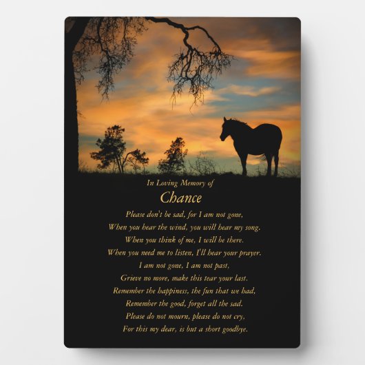 Paardenherdenkingsonderscheiding in liefdevol gehe fotoplaat (voorkant)