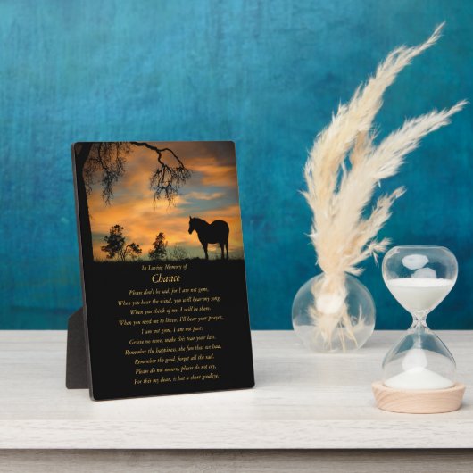 Paardenherdenkingsonderscheiding in liefdevol gehe fotoplaat (Zijkant)