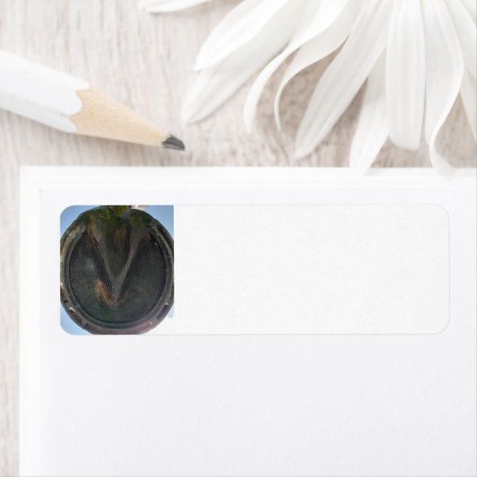 Paardenhoef Etiket (Insitu)