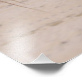 Paardenhoofd op het strand Outer Banks North Carol Foto Afdruk (Hoek)