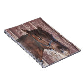 Paardenhoofd western Kijk in zijn ogen. Notitieboek (Rechterzijde)