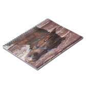 Paardenhoofd western Kijk in zijn ogen. Notitieboek (Linkerzijde)