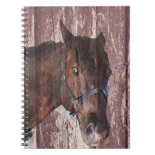 Paardenhoofd western Kijk in zijn ogen. Notitieboek