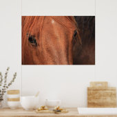 Paardenhuid Poster (Keuken)