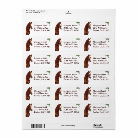 Paardenhuisadres Equestrian Horse Etiket (Full Sheet)