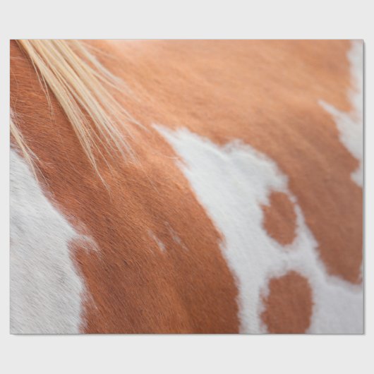 Paardenjas Cadeaupapier (Vlak)