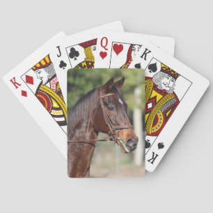 Paardenkaarten Speelkaarten