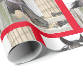 Paardenkaas op een omheining cadeaupapier (Rol Hoek)