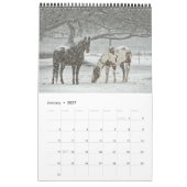 Paardenkalender 2017 kalender (Jan 2027)