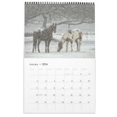 Paardenkalender 2017 kalender (Jan 2026)