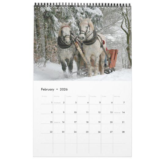 Paardenkalender 2017 kalender (Feb 2026)
