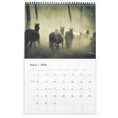 Paardenkalender 2017 kalender (Mar 2026)