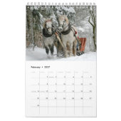 Paardenkalender 2017 kalender (Feb 2027)
