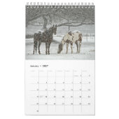 Paardenkalender 2017 kalender (Jan 2027)