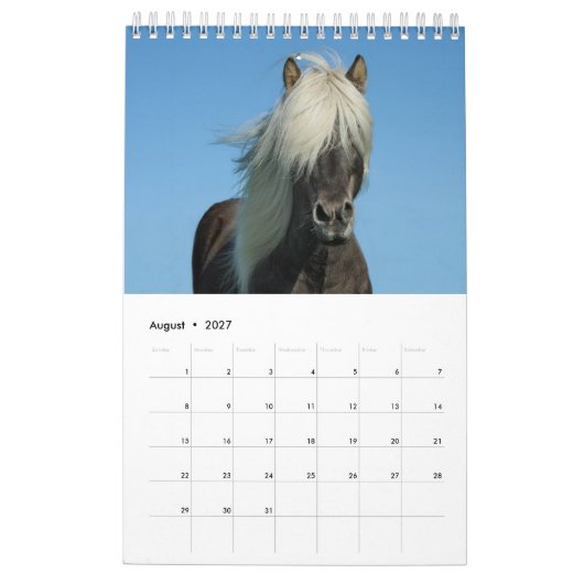 Paardenkalender 2017 kalender (Aug 2027)