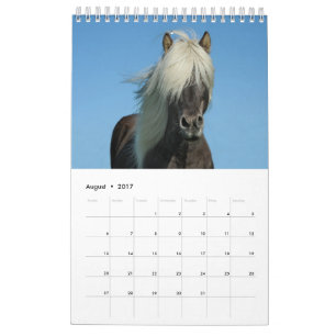 Paardenkalender 2017 kalender