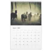 Paardenkalender 2017 kalender (Mar 2027)