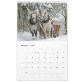 Paardenkalender 2017 kalender (Feb 2027)