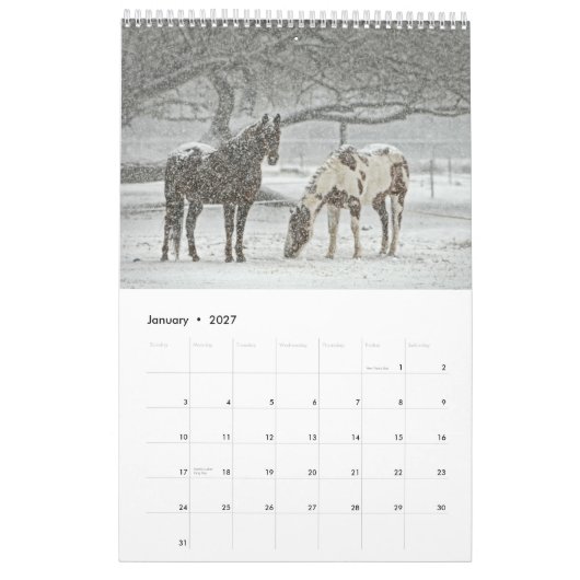 Paardenkalender 2017 kalender (Jan 2027)