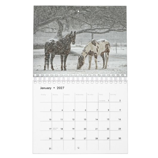Paardenkalender 2017 kalender (Jan 2027)